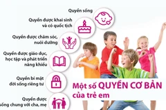 [Infographics] Tìm hiểu về một số quyền cơ bản của trẻ em