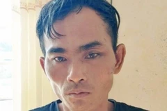 Đối tượng Huỳnh Hữu Lực bị tạm giữ hình sự tại Cơ quan Công an. (Nguồn: TTXVN phát) 