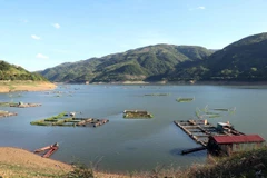 (Ảnh minh họa: Hữu Quyết/TTXVN)