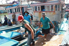 Ngư dân Khánh Hòa đưa cá lên bờ. (Ảnh: Phan Sáu/TTXVN) 