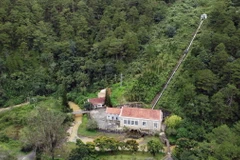 Nhà máy nằm dưới thung lũng giữa rừng sâu, bao quanh là rừng thông tự nhiên. Ảnh: Huy Hùng – TTXVN