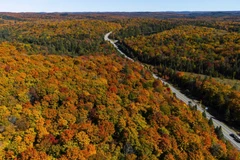 [Photo] Những bức tranh 'mùa thu vàng' tuyệt đẹp ở các nước