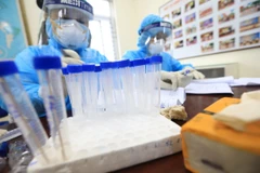 Lấy mẫu xét nghiệm ca bệnh COVID-19. (Ảnh: Thành Đạt/TTXVN) 