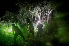 Lực lượng chức năng tìm kiếm người phụ nữ mất tích. (Nguồn: Pháp Luật Thành phố Hồ Chí Minh)