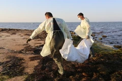 Lực lượng cứu hộ chuyển thi thể người di cư ở bờ biển thành phố Zarzis, Tunisia. (Ảnh: AFP/TTXVN)