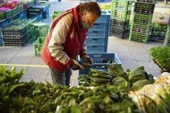 Một tiểu thương bày hàng để bán tại chợ ở Prague, Cộng hòa Séc. (Ảnh: AFP/TTXVN)