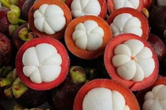 Măng cụt được mệnh danh là “nữ hoàng trái cây.” (Nguồn: Vietnam+)