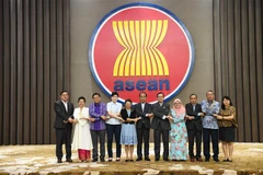 Các đại biểu tham dự cuộc họp lần thứ 60 Nhóm Đặc trách Sáng kiến Liên kết ASEAN (IAI TF). (Nguồn: TTXVN) 