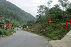 Cờ Tổ quốc được treo khắp tuyến đường xã Pù Nhi, huyện biên giới Mường Lát để chào mừng ngày bầu cử. (Ảnh: Nguyễn Nam/TTXVN) 
