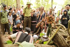 [Photo] Độc đáo lễ cúng tạ ơn Thần rừng của người Jrai ở Gia Lai 