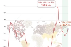 Chỉ số giá lương thực thế giới tháng 10/2024: Cao nhất trong 18 tháng qua