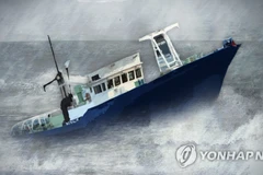 Ảnh minh họa. (Nguồn: Yonhap News) 