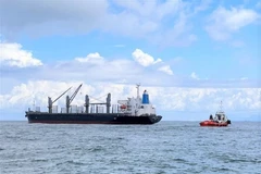 Lực lượng cứu hộ tiếp cận tàu hàng Nemrut Bay. (Ảnh: TTXVN phát)