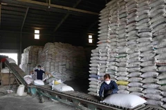 Dây chuyền chế biến, đóng gói gạo thành phẩm tại nhà máy chế biến lương thực Long An (thuộc Vinafood 2). (Ảnh: Phạm Hậu/TTXVN) 