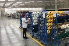 Ảnh minh họa. (Nguồn: TTXVN) 