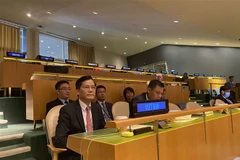 Thứ trưởng Bộ Ngoại giao Hà Kim Ngọc tham dự Hội nghị kiểm điểm lần thứ 10 Hiệp ước Không phổ biến vũ khí hạt nhân. (Ảnh: TTXVN) 