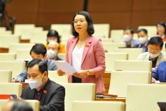 Đại biểu Quốc hội tỉnh Nam Định Mai Thị Phương Hoa phát biểu ý kiến. (Ảnh: Minh Đức/TTXVN) 