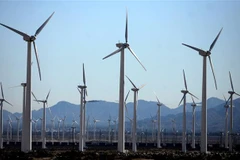 Cánh đồng cối xay gió ở gần Palm Springs, California, Mỹ. (Ảnh: AFP/TTXVN)