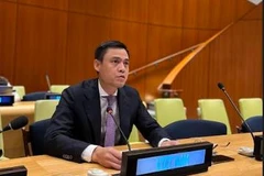 Việt Nam cam kết thúc đẩy pháp quyền cấp độ quốc gia và quốc tế