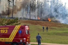 Nguyên nhân vụ tai nạn đang được điều tra làm rõ. (Nguồn: Corpo de Bombeiros) 