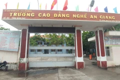 Đến ngày 3/8, tỉnh An Giang đã thu hoạch được 120.319 ha/228.479ha, đạt 52,7% diện tích xuống giống. (Ảnh: Công Mạo/TTXVN) 