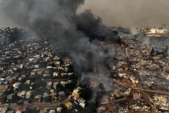 Khói bốc lên ngùn ngụt trong đám cháy rừng tại Viña del Mar, Chile, ngày 3/2/2024. (Ảnh: AFP/TTXVN)