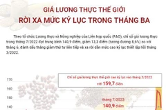 [Infographics] Giá lương thực thế giới rời xa mức kỷ lục