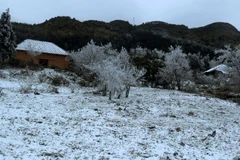 Cận cảnh tuyết rơi dày đặc tại xã vùng cao Y Tý ở Lào Cai