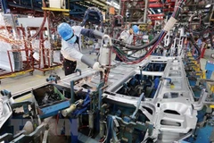 Ảnh minh họa. (Nguồn: TTXVN) 