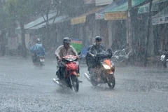 Ảnh minh họa. (Nguồn: TTXVN phát) 