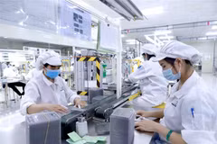 Sản xuất linh kiện điện tử tại Công ty Youngbag ViiNa khu Công nghiệp Bình Xuyên, Vĩnh Phúc. (Ảnh: TTXVN) 