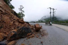 (Ảnh minh họa: Phan Tuấn Anh/TTXVN) 