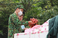 Các lực lượng chức năng tại cửa khẩu Tân Thanh kiểm tra mặt hàng vải quả tươi trước khi xuất khẩu. (Ảnh: Quang Duy/TTXVN)