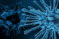 Phân tích gene, chủng virus ở Karachi có liên quan đến virus bại liệt được phát hiện ở Afghanistan.(Nguồn: Dunyanews)