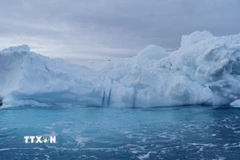 Ảnh minh họa. (Nguồn: TTXVN)