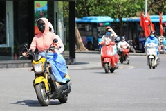 (Ảnh minh họa: Thành Đạt/TTXVN) 