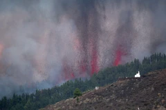 Núi lửa ở công viên Cumbre Vieja phun trào tạo một cột khói, tro bụi và dung nham. (Nguồn: AFP/Getty Images) 