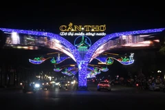 [Photo] Rực rỡ đường đèn nghệ thuật Cần Thơ mừng Xuân mới