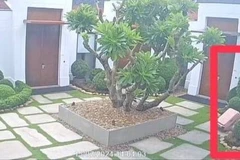 Trích xuất đoạn clip do camera an ninh CCTV của khách sạn ghi lại cho thấy nhóm du khách di chuyển vali về một phòng trong khuôn viên khách sạn Grand Hyatt Erawan ở quận Pathum Wan từ hôm 15/7. (Nguồn: Bangkok Post)