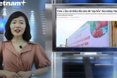 [Video] Tin tức nóng tại Việt Nam và thế giới ngày 22/6