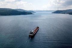 Tàu chở ngũ cốc di chuyển dọc Eo biển Bosphorus ngày 3/8/2022. (Ảnh: AFP/TTXVN)