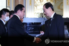 Thủ tướng Nhật Bản Fumio Kishida (trái) và Thủ tướng Hàn Quốc Han Duck-soo. (Nguồn: Yonhap)