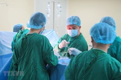 (Ảnh minh họa: Dư Toán/TTXVN) 