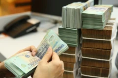 (Ảnh minh họa: TTXVN)