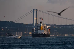 Tàu Navi Star mang cờ Panama chở hàng tấn ngũ cốc của Ukraine di chuyển dọc Eo biển Bosphorus qua Istanbul, Thổ Nhĩ Kỳ ngày 7/8/2022. (Ảnh: AFP/TTXVN) 