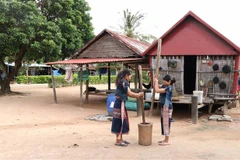 Vào ngày làng tổ chức Lễ mừng lúa mới, nhà nhà đều phải giã cốm để đem cúng Yang Sri (Thần Lúa). (Ảnh: Hồng Điệp/TTXVN) 