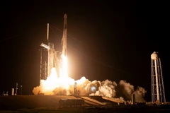 Tên lửa đẩy Falcon 9 rời bệ phóng, đưa tàu vũ trụ Endurance của SpaceX cùng các nhà du hành lên trạm ISS, ngày 26/8/2023. (Ảnh: AFP/TTXVN)