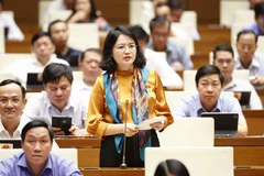 Đại biểu Quốc hội tỉnh Hải Dương Nguyễn Thị Mai Hoa đặt câu hỏi chất vấn. (Ảnh: Doãn Tấn/TTXVN) 