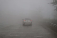 (Ảnh minh họa: Xuân Tiến/TTXVN) 