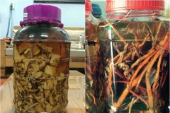 Sử dụng các loại rượu ngâm thảo dược cũng cần có sự chỉ định của bác sỹ để tránh ngộ độc. (Nguồn: Sức khỏe và Đời sống)